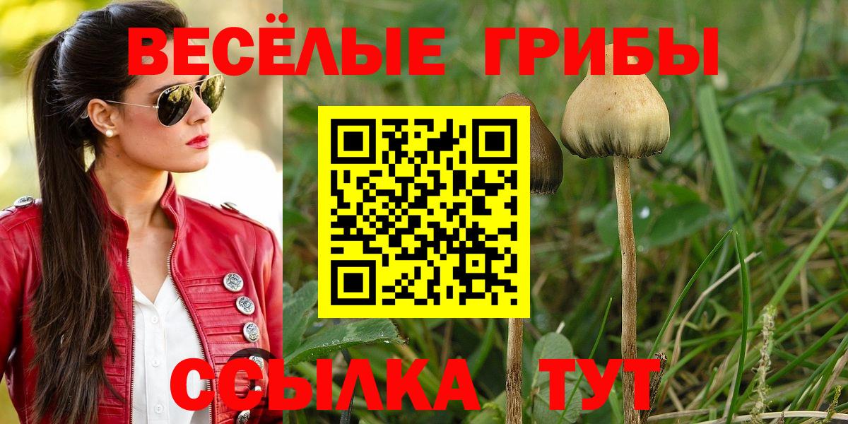 Галлюциногенные грибы Cubensis  Вход с VPN  Киселёвск 